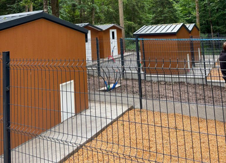 Garde animaux proche du Mans