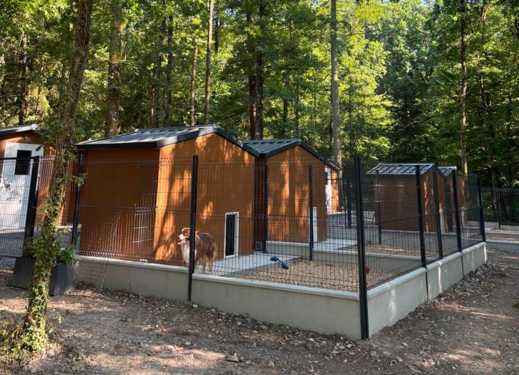 Pension canine sécurisée Sarthe